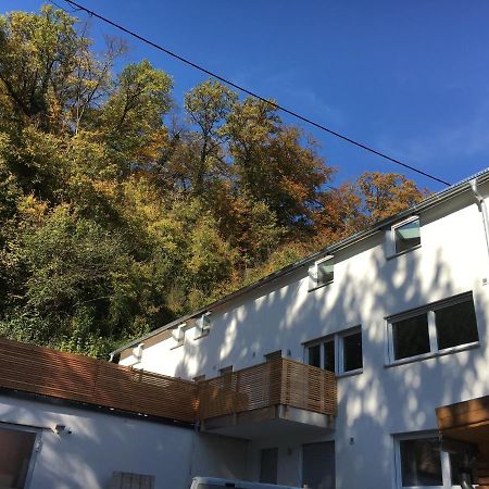 Ferienwohnungen Lamisto Am Waldesrand Neckartenzlingen Exterior photo