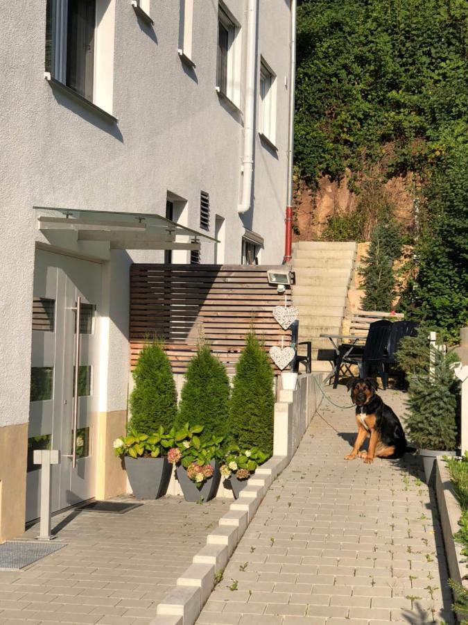 Ferienwohnungen Lamisto Am Waldesrand Neckartenzlingen Exterior photo
